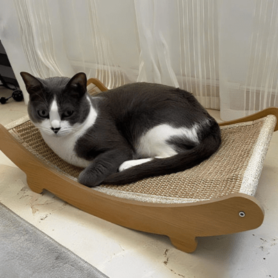 griffoir-chat-tsuga-568393