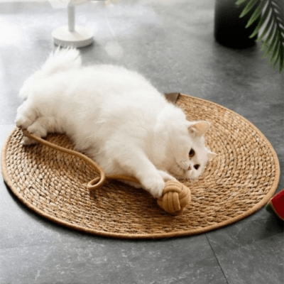 griffoir-pour-chat-abie-393726