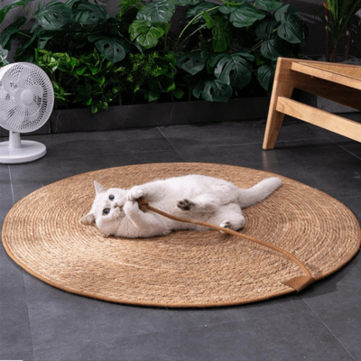 griffoir-pour-chat-abie-397917