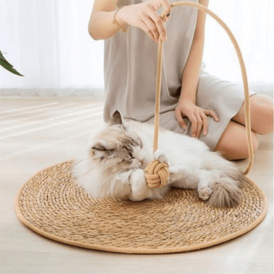 griffoir-pour-chat-abie-906321