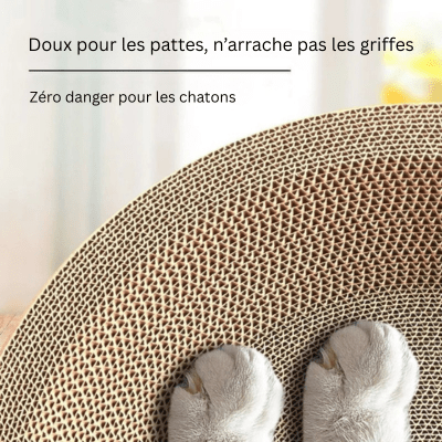 griffoir-pour-chat-celtis-468081