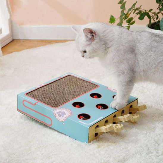 griffoir-pour-chat-chasse