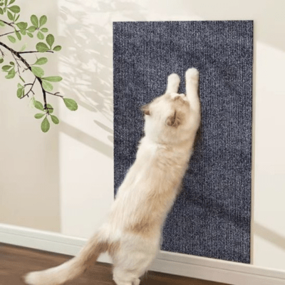 griffoir-pour-chat-fagus-276194