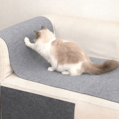 griffoir-pour-chat-fagus-907732