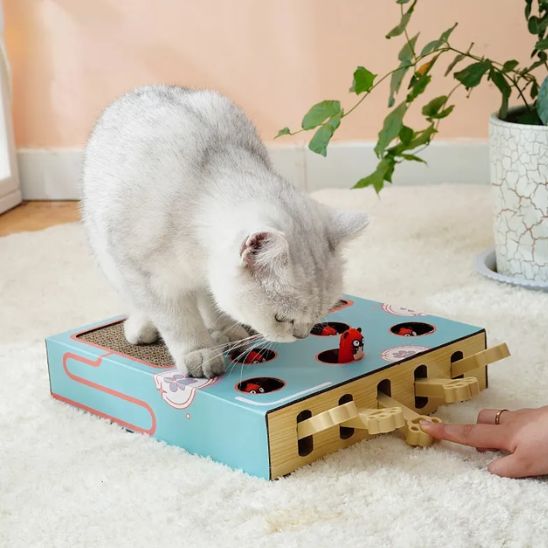 griffoir-pour-chat-grattage