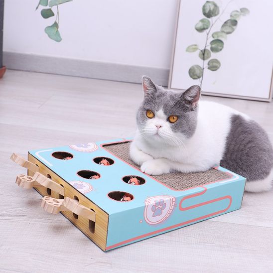 griffoir-pour-chat-interaction