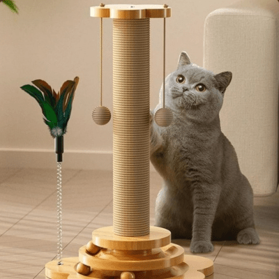 griffoir-pour-chat-orme-687706