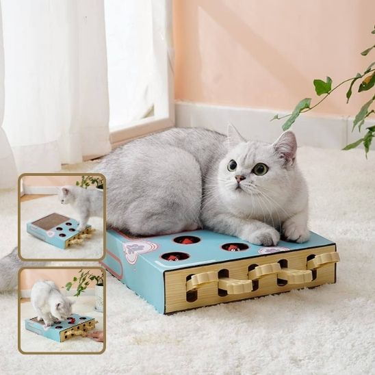griffoir-pour-chat-repos