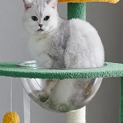 lit-de-l-arbre-à-chat