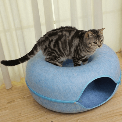 Lit pour Chat - GINA™ - Bleu - My Little Kat