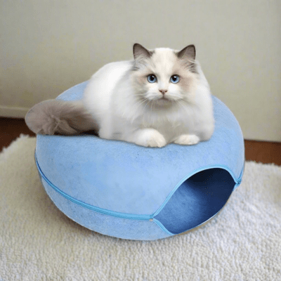 Lit pour Chat - GINA™ - Bleu - My Little Kat