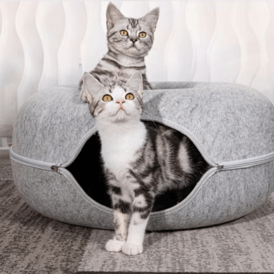 Lit pour Chat | GINA™ - Gris Clair - My Little Kat