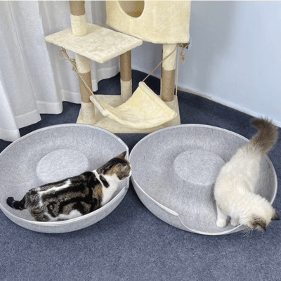 Lit pour Chat | GINA™ - Gris Clair - My Little Kat