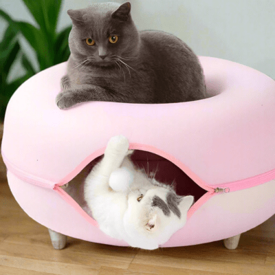 Lit pour Chat | GINA™ Rose - My Little Kat