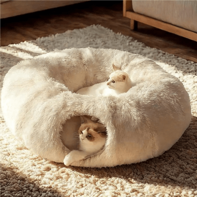 Lit pour Chat | IRIS™ Gris - My Little Kat