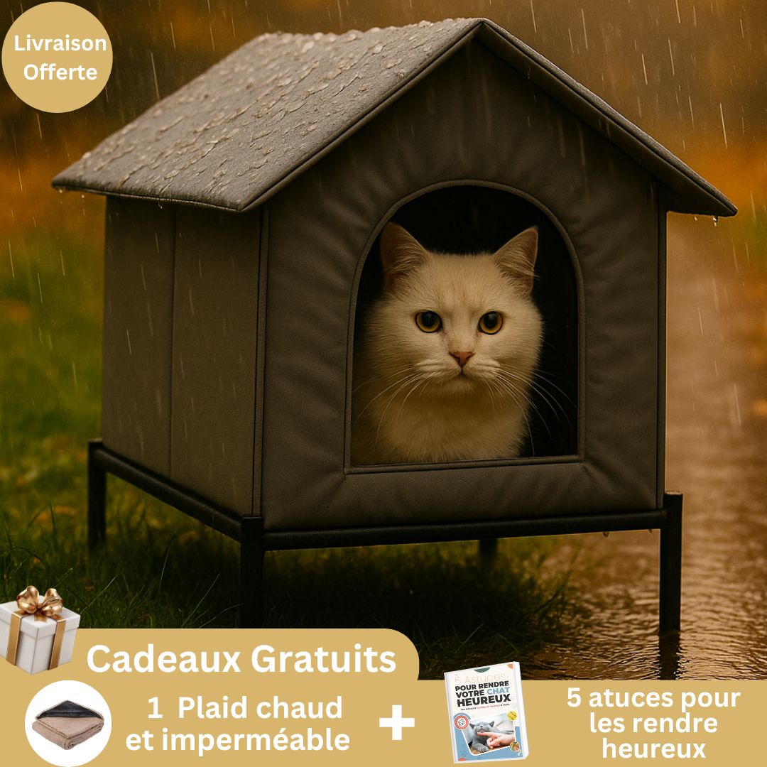 Maison Hiver Premium – LAMI™ - My Little Kat