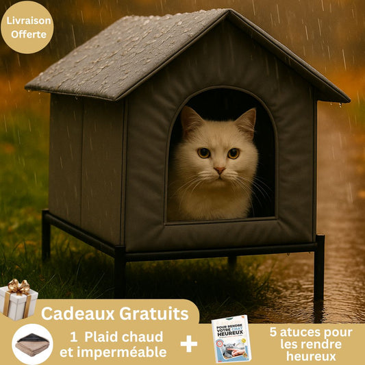 Maison Hiver Premium – LAMI™ - My Little Kat