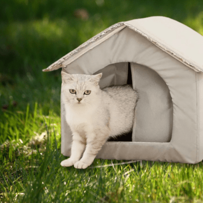 Maison pour Chat Extérieur | LAMI Bleu - My Little Kat