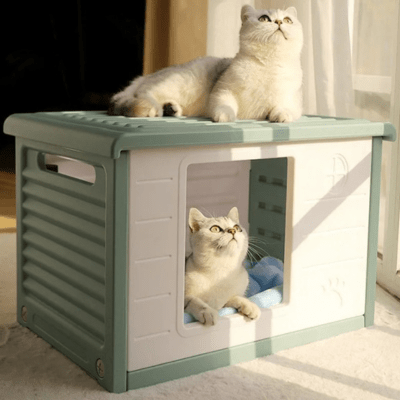 Maison pour Chat Extérieur | TYRA™ - My Little Kat