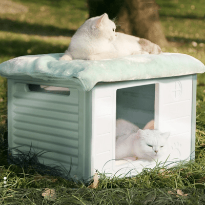 Maison pour Chat Extérieur | TYRA™ - My Little Kat