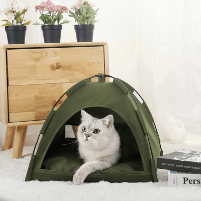 Maison pour Chat | LYV™ Kaki - My Little Kat