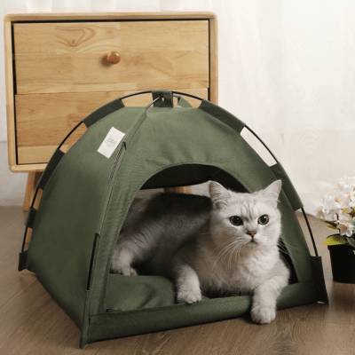 Maison pour Chat | LYV™ Kaki - My Little Kat
