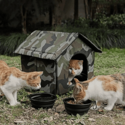 Niche pour Chat | OLGA™ - My Little Kat