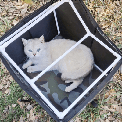 Niche pour Chat | RITA™ - My Little Kat