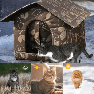 Niche pour Chat | TINA™ - My Little Kat