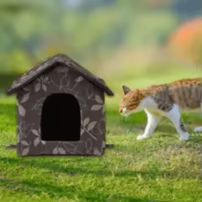 Niche pour Chat | TINA™ - My Little Kat
