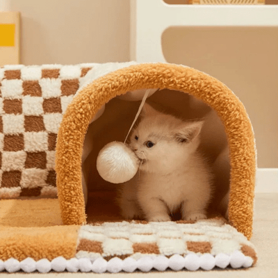 Panier pour Chat | EVA™ Marron - My Little Kat